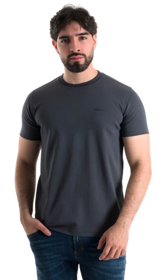 CAMISETA BASICA PREMIUM GRIS